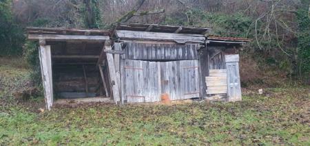 Ravne pred čiščenjem (2)